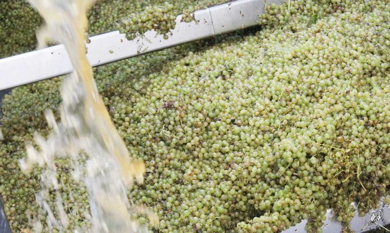 Industrias vitivinícolas