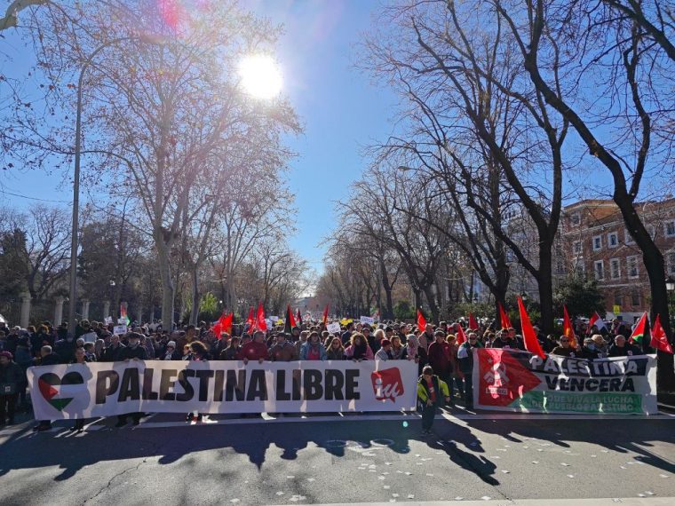Apoyo Palestina. Solidaridad Internacional