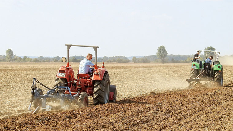 Trabajadores agrícolas con tractor