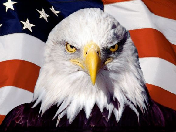 Aguila imperial USA