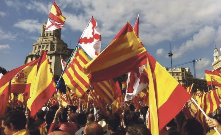 Es frecuente en sus manifestaciones el uso de la enseña con la cruz de borgoña por parte de las fuerzas de la derecha española.