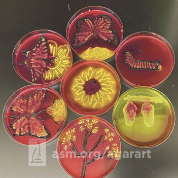 "Butterfly Garden", Liliana Flores and Rebecca Wall, North Carolina State Laboratory of Public Health, Raleigh, N. C