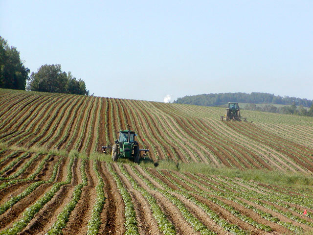 Agricultura