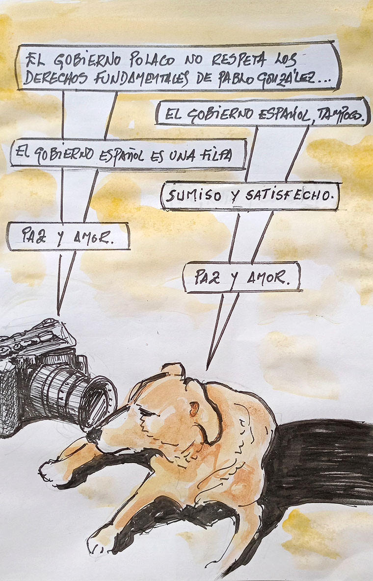Viñeta de Vicente Ruiz. Derechos fundamentales de Pablo González
