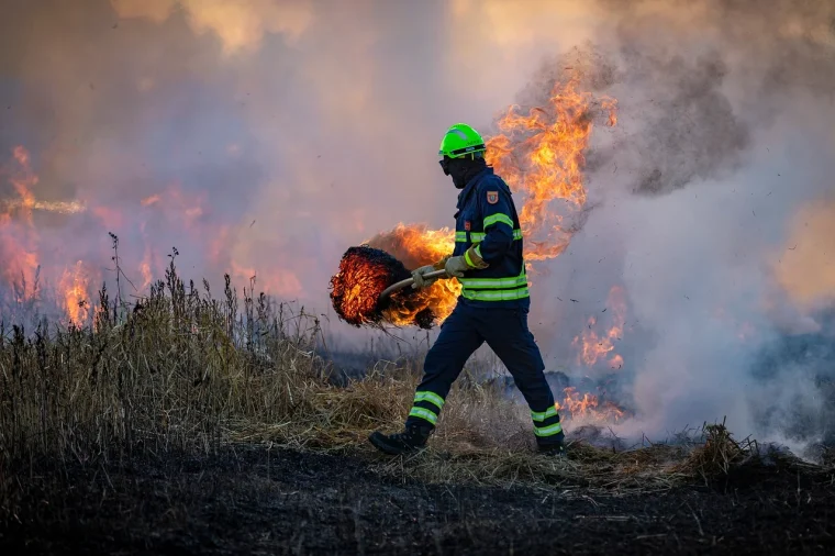 Incendios forestales