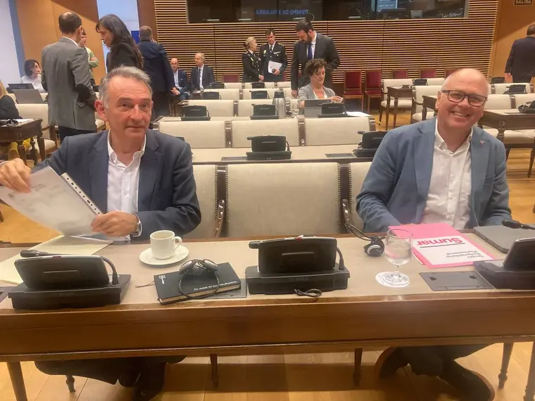 Los diputados Enrique Santiago y Fèlix Alonso