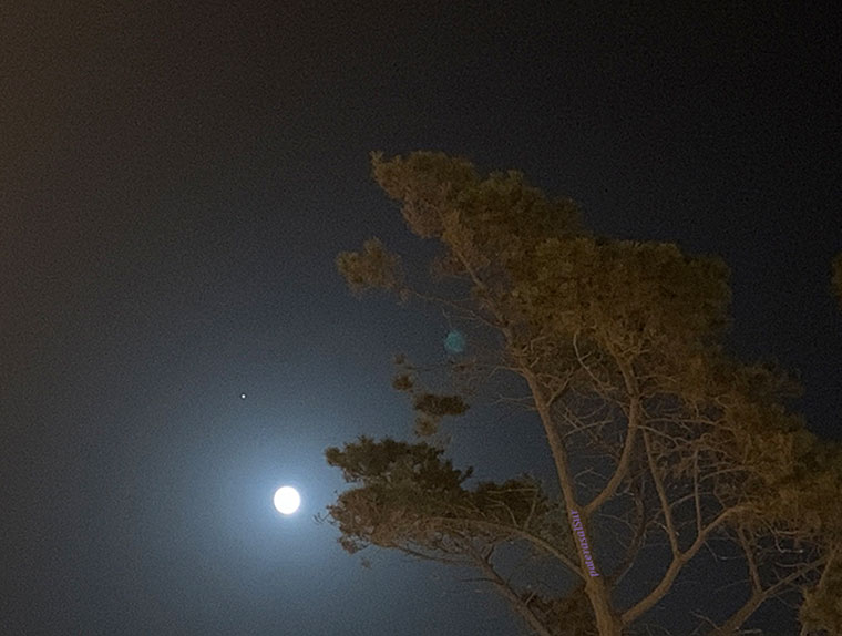 Luna migrante | Foto: Iñaki Chaves