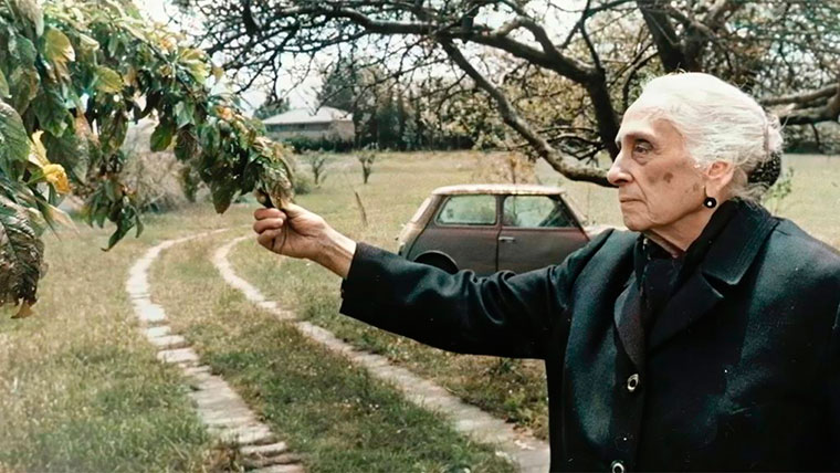 Pasionaria. Documental de Amparo Climent