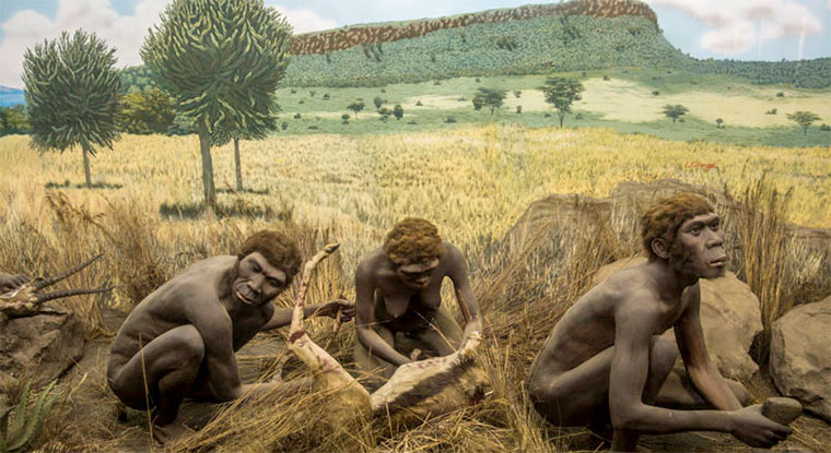 Homínidos a homo sapiens