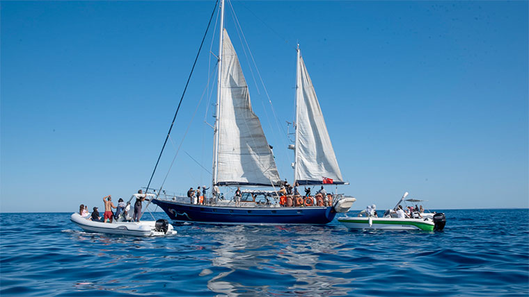 Madleen. Flotilla de la Libertad Rumbo a Gaza