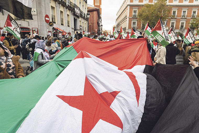 Manifestación en Madrid por la libertad del Sáhara (noviembre 2023) | Olmo Calvo