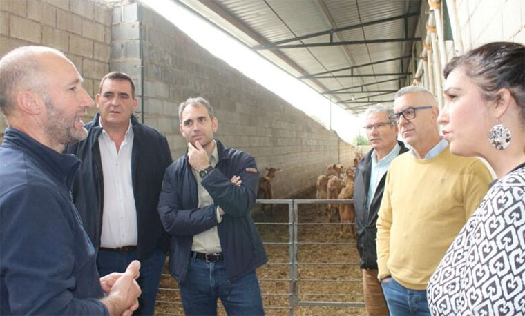 Tercero por la izquierda en la imagen, el diputado Toni Valero en una explotación ganadera | Foto: Izquierda Unida