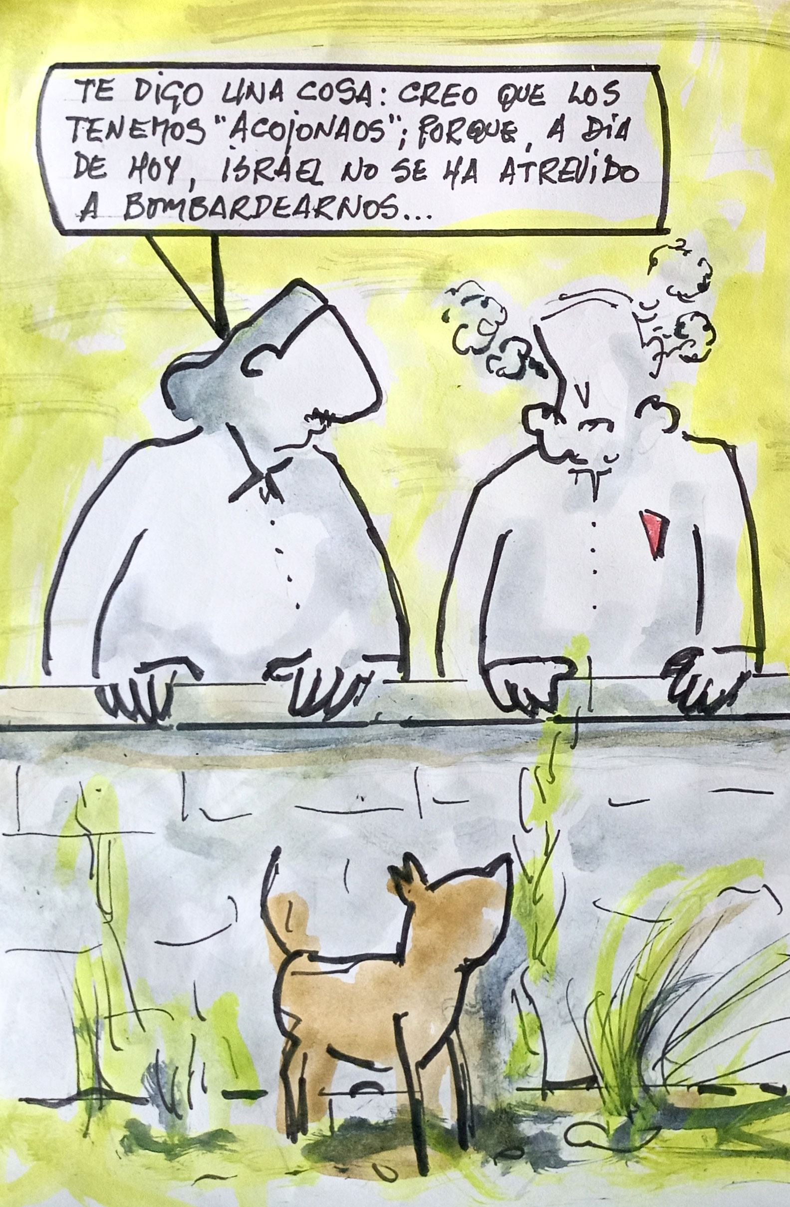 Viñeta de Vicente Ruiz: "Israel no se ha atrevido a bombardearnos"