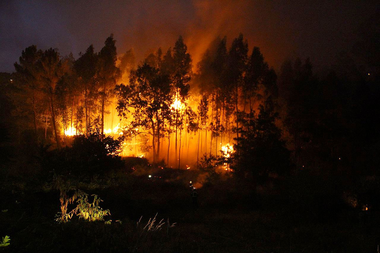 Incendio forestal en Galicia | Fuente: Contando Estrelas / CC BY-SA 2.0