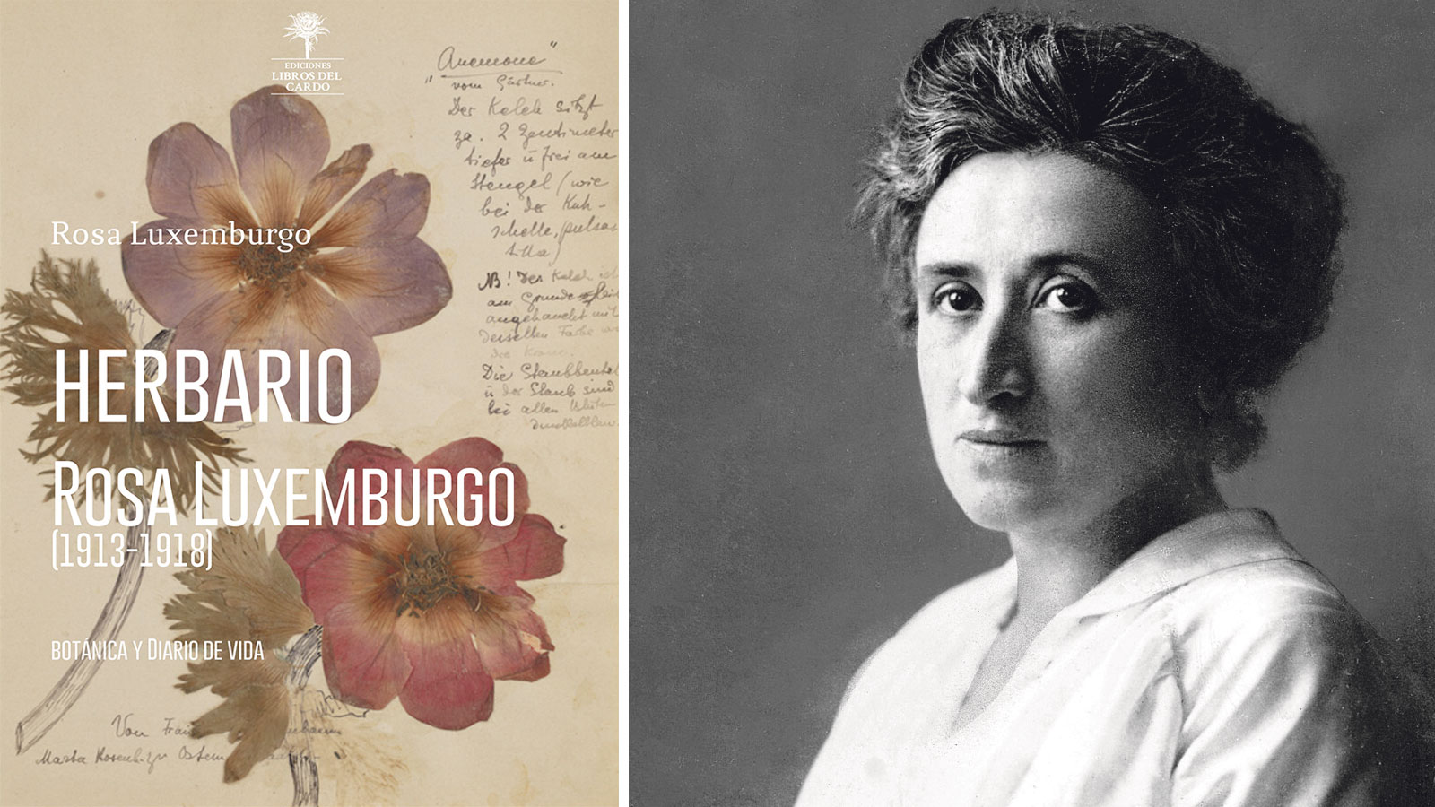 Herbario Rosa Luxemburgo
