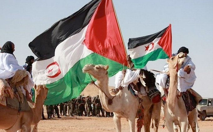 50 aniversario de la República Árabe Saharaui Democrática (RASD) | Fuente: @abdulahfpe