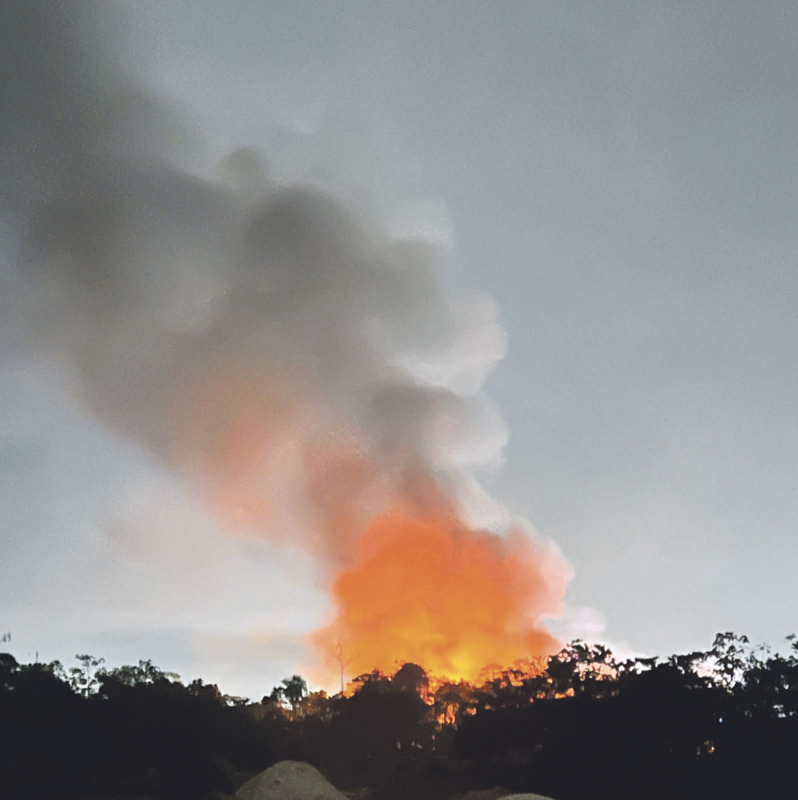 Incendio forestal | Fuente: LLs / CC BY-SA 4.0