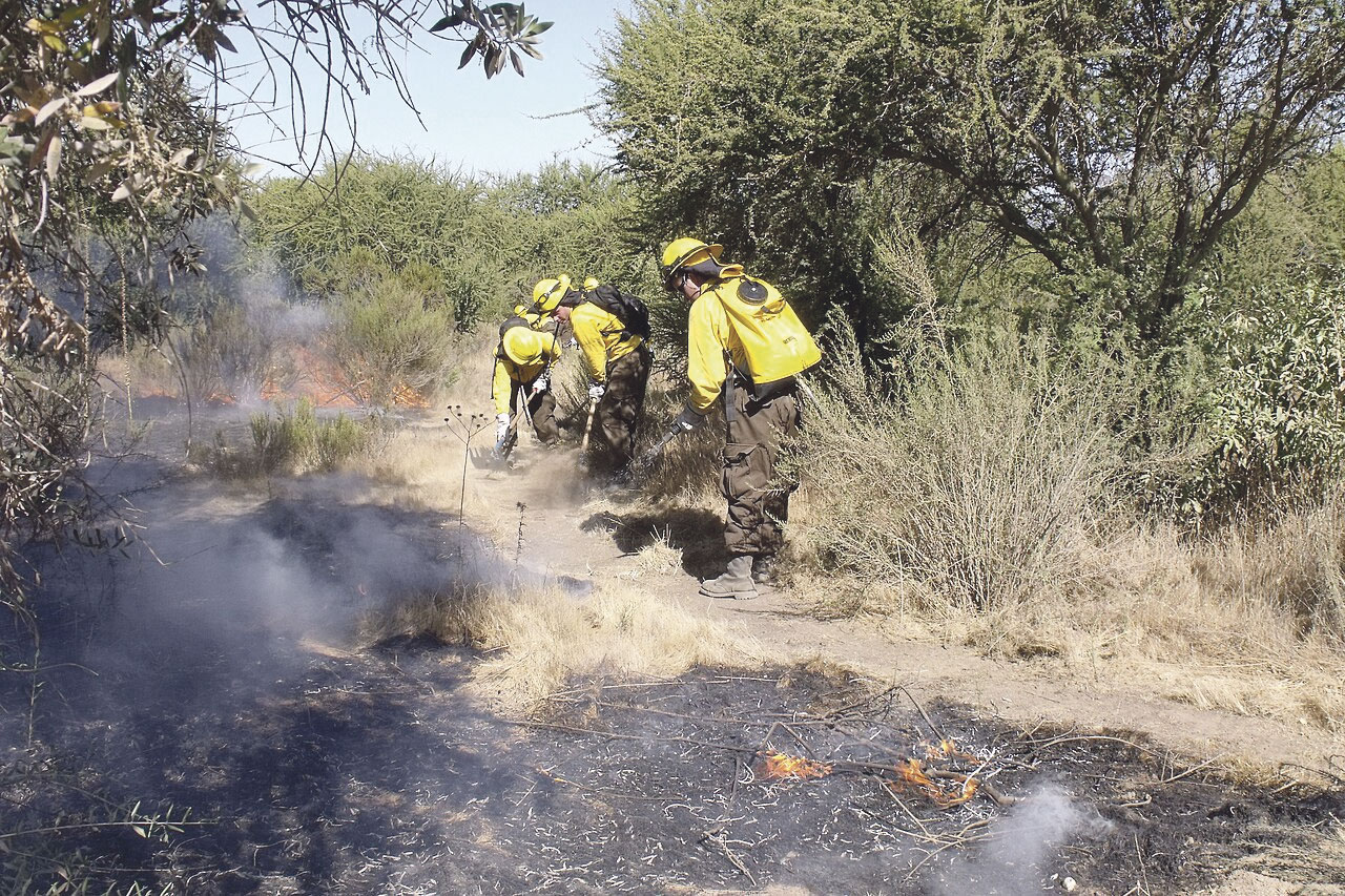 Incendio forestal | Fuente: Milodon3 / CC BY-SA 3.0
