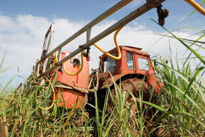 Tareas agrícolas. Caña de azúcar (Cuba) | Fuente: Otmaro Rodríguez / Cubadebate